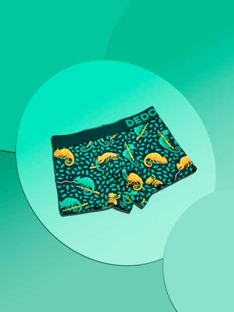 Kameleon na polowaniu - Bokserki Dedoles