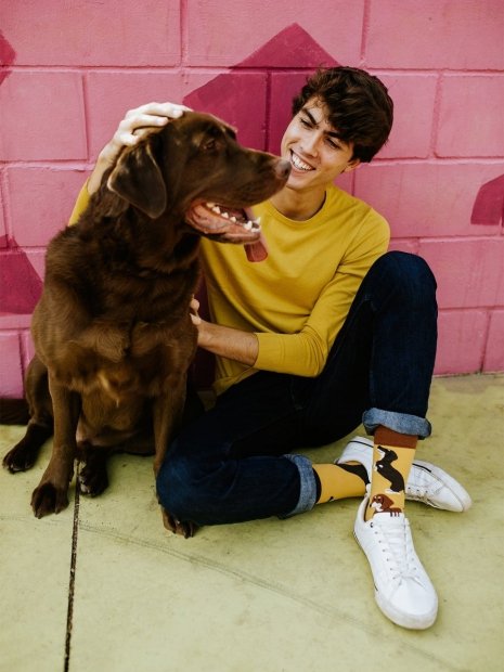 Jazvečíky - Ponožky Good Mood