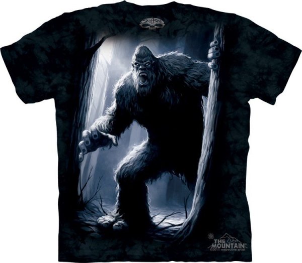 Sasquatch -  The Mountain