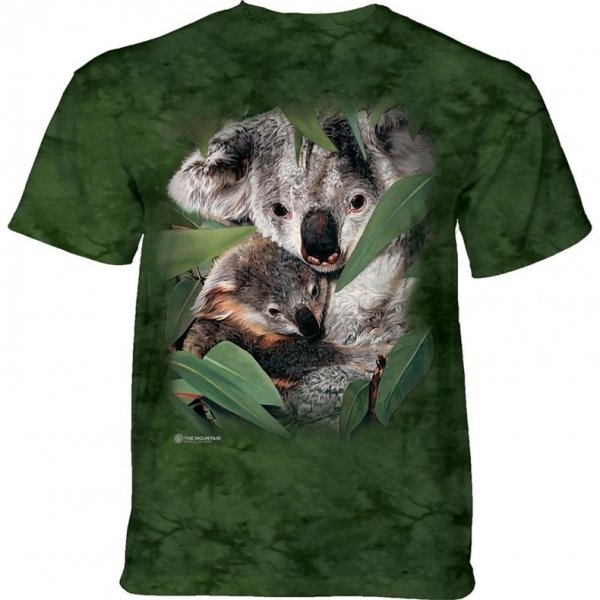 Motherhood Koala - The Mountain