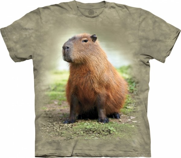 Capybara  - The Mountain