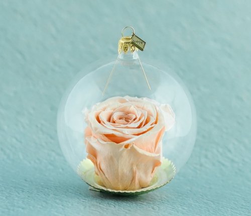 Natürliche haltbare Rose in einer Glaskugel - Lachsrosa mit Perlglanz