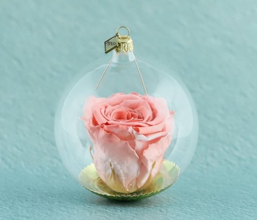 Natürliche haltbare Rose in einer Glaskugel - Dunkles Lachsrosa