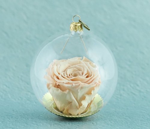 Natürliche haltbare Rose in einer Glaskugel - Ecru dunkel