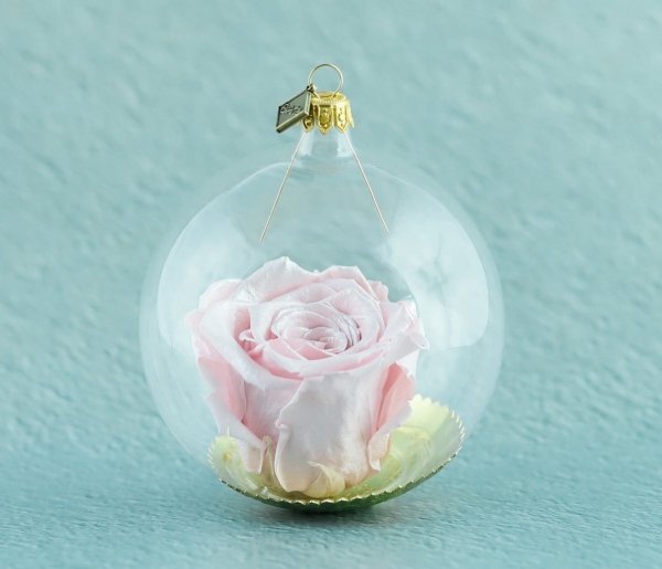 różowa róża w szklanej kuli