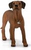 Pies Rasy Rhodesian Ridgeback Figurka Schleich 13895