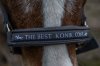 *Edycja limitowana!* Kantar MEMPHIS THE BEST KONIK.COM.PL - Schockemohle