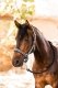Zestaw kantar + uwiąz MAGIC CAROUSEL II PONY - Horze