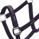 Kantar MEMPHIS II AW24 - Schockemohle - deep mauve