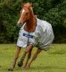Derka padokowa 0g POWER TURNOUT HIGH NECK - Bucas