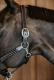 Kantar skórzany WORKING COLLECTION Plaited - DY'ON