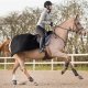 Derka treningowa 250 g AVALANCHE - Horze 