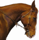 Amortyzator wodzy Sawka Light Hand
