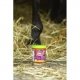 Żel chłodzący Ice gel 600ml - Equinatura 