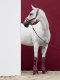 Ochraniacze transportowe MESH - Classic Sports A/W 21 - Eskadron - rustic red