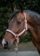 Kantar MEMPHIS II SS25 - Schockemohle - dusty pink