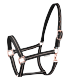 Kantar ROSE - Waldhausen