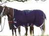 Derka padokowa 0g 1000D RAMBO Wug Turnout - Horseware - purple/silver