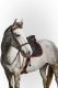 Potnik wszechstronny CHANTILLY - Harcour - black