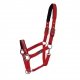 Kantar MEMPHIS II SS 2023 - Schockemohle - true red