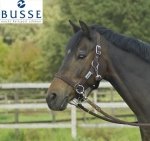 Kantar do jazdy RIDING - BUSSE