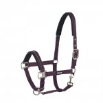 Kantar PIN BUCKLE STANDARD - Eskadron - blackberry