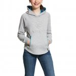 Bluza młodzieżowa z kapturem 3D LOGO SS20 - ARIAT - heather grey