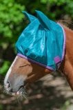 Maska przeciw owadom FREEDOM - BUCAS - green/violet