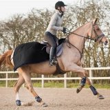 Derka treningowa 250 g AVALANCHE - Horze 