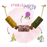 Gryzak dla koni Too Tasty STABLE PARTY - Candy Horse