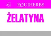 Żelatyna 1 kg - EQUIHERBS