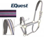 Kantar DUAL PLUS pinky - EQUEST 
