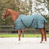 Derka stajenna 200g AW 24/25 - QHP - emerald