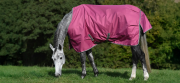 Derka padokowa 0g 600D FREEDOM LIGHT - Bucas - raspberry  - PONY