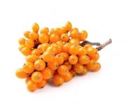 Rokitnik 3 kg - EQUIHERBS 