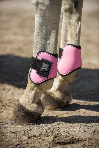 Ochraniacze Norton Pro - komplet na 4 nogi - Norton Pony