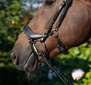 Ogłowie anatomiczne DEVI - QHP