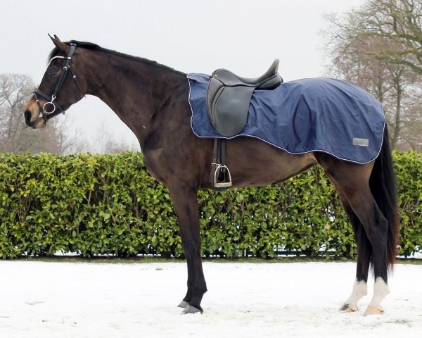 Derka treningowa 420D - QHP - navy