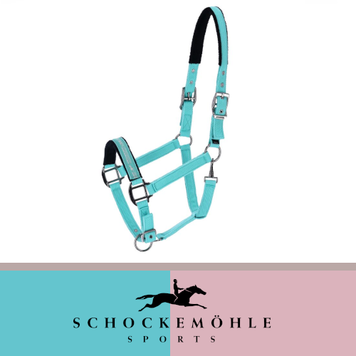 Kantar MEMPHIS II SS25 - Schockemohle - sea green