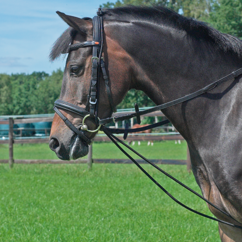 Czambon gumowy - BUSSE