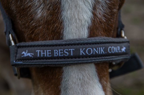 *Edycja limitowana!* Kantar MEMPHIS &quot;THE BEST KONIK.COM.PL&quot; - Schockemohle