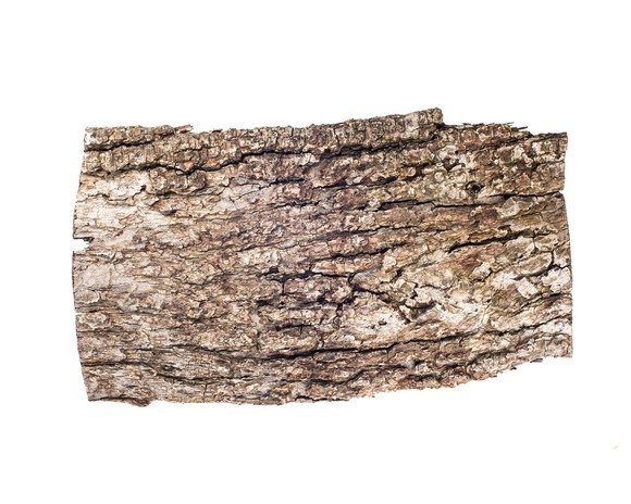 Kora dębu 1 kg - EQUIHERBS 