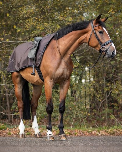 Derka treningowa podszyta polarem 0g 600D AW23 - QHP - crocodile