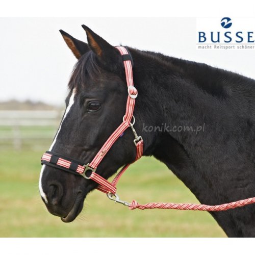 Kantar BERLIN - BUSSE