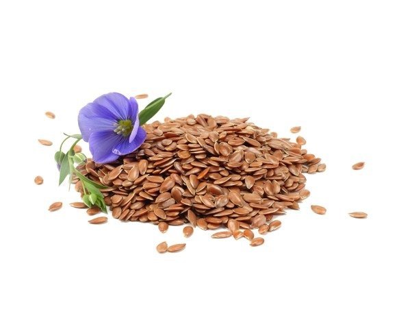 Siemię lniane 5 kg - EQUIHERBS 