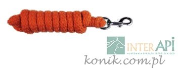 Uwiąz SPRING - karabińczyk zwykły - API