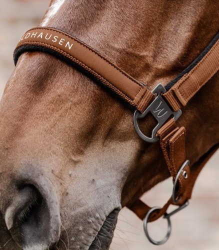 Kantar ATHLETIC - Waldhausen