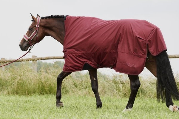 Derka padokowa podszyta misiem 0g 1680D BETA FAUXFUR - Classic Sports A/W 21 - Eskadron - rustic red