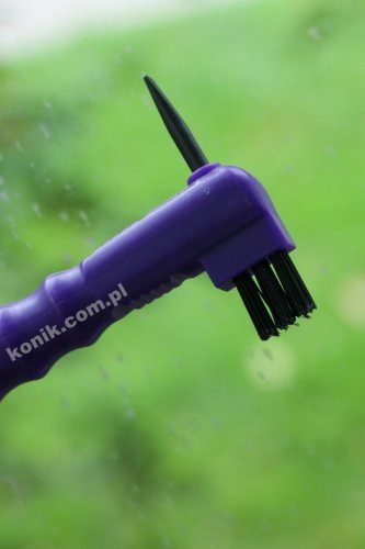 Kopystka JOKER Uta Gräf  - HAAS