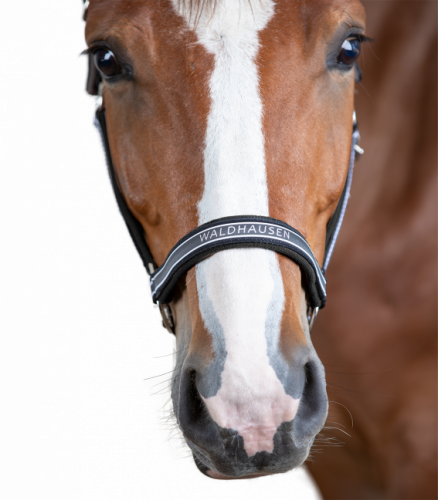 Kantar ATHLETIC - Waldhausen 